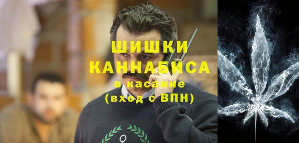 метадон Гусев